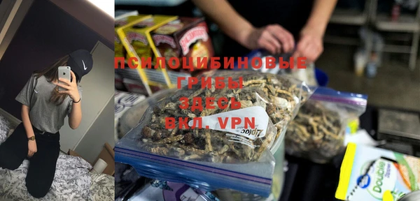 твердый Балахна