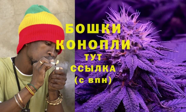 соль ск Арсеньев